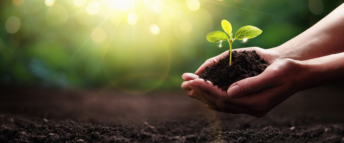Northampton sustainability